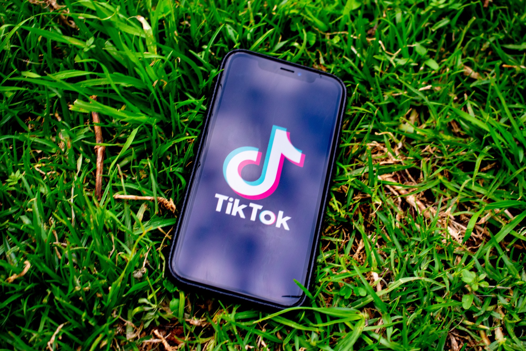 Buying Likes on TikTok for Your Business